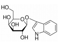 碳水化合物類(lèi)