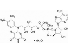 植物激素及核酸類(lèi)