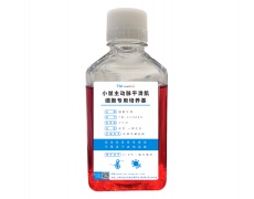 永生化細(xì)胞專用培養(yǎng)基