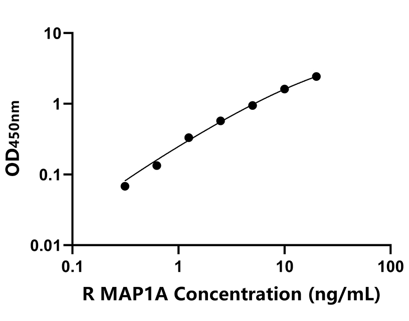 大鼠 Elisa試劑盒