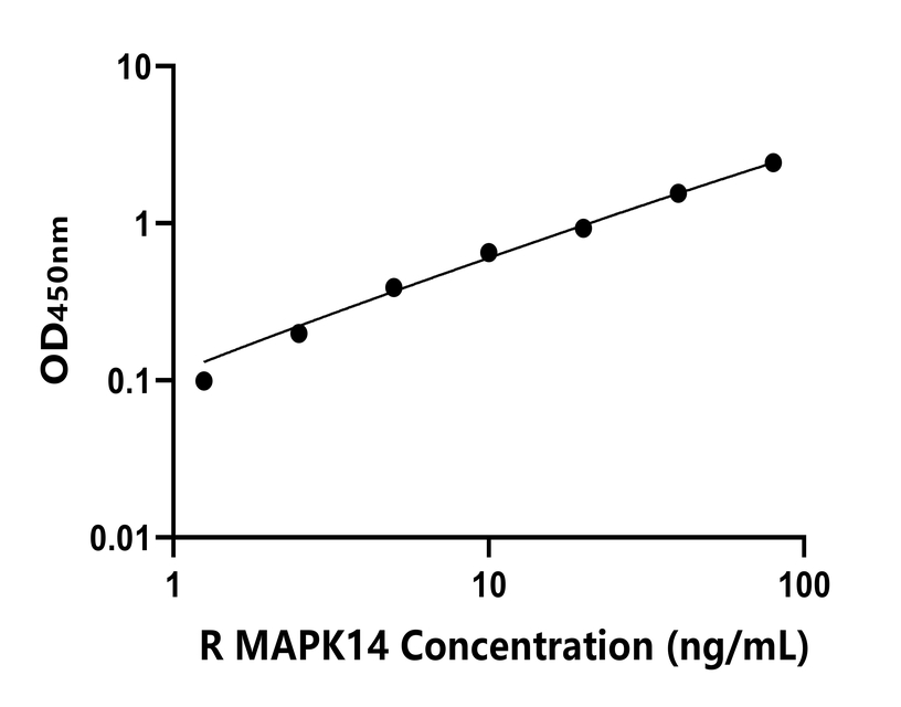 大鼠(MAPK14)ELISA試劑盒 大鼠(MAPK14)ELISA試劑盒
