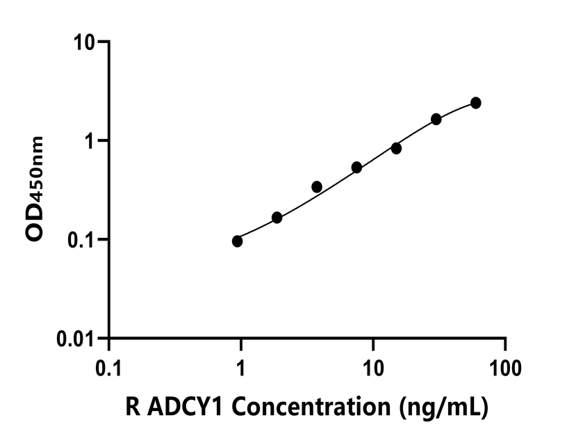 大鼠(ADCY1)ELISA試劑盒