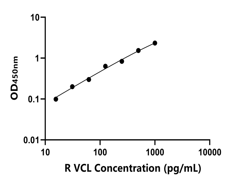大鼠(VCL)ELISA試劑盒 大鼠(VCL)ELISA試劑盒