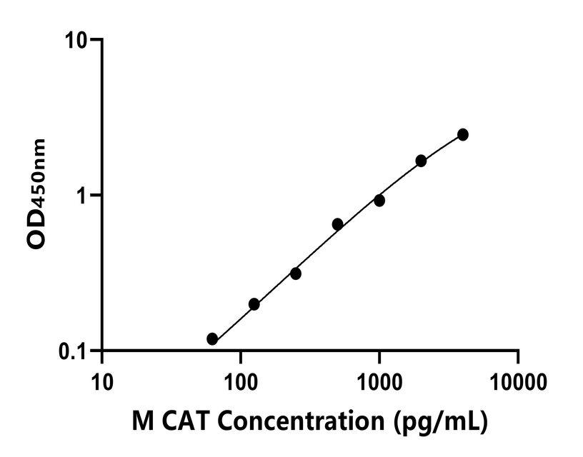 小鼠(CAT)ELISA試劑盒 小鼠(CAT)ELISA試劑盒