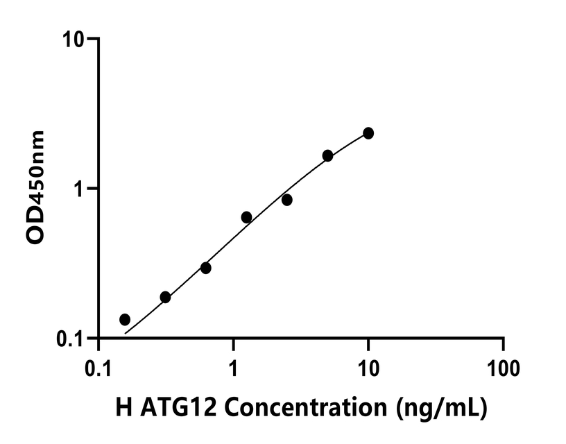 人(ATG12)檢測(cè)試劑盒